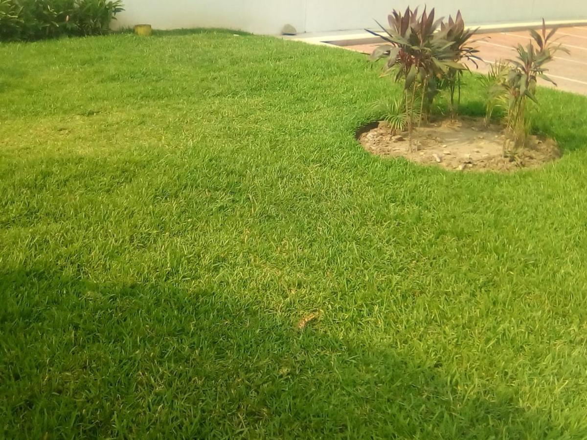 Appartamento Victor House Acapulco Esterno foto